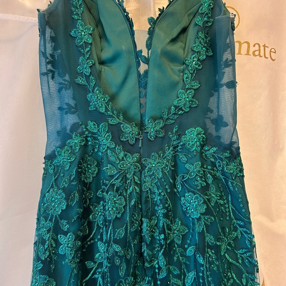 Ellie Wilde Prom dress - Picture 3 of 8